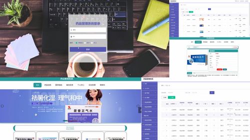 軟件工程畢業(yè)設(shè)計選題100例 五